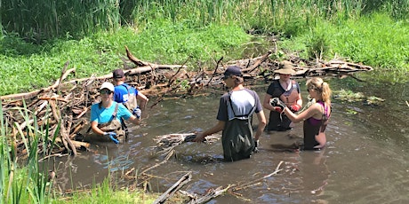 Eramosa River Volunteer Workday primary image