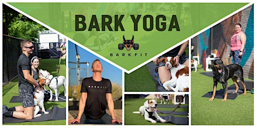 Imagem principal do evento Barkfit Doggy Yoga