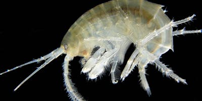 Https%3a%2f%2fcdn.evbuc.com%2fimages%2f48303488%2f17044162781%2f1%2foriginal