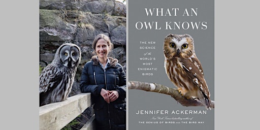 Jennifer Ackerman, author of What an Owl Knows primary image