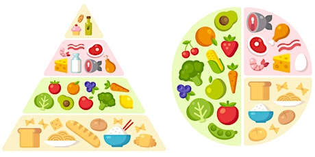 Basics of Nutrition primary image