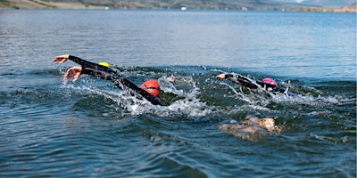 Swim For York Samaritans 2024 primary image