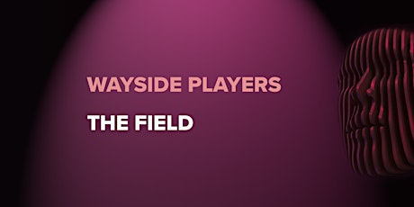 Night Four - Wayside Players