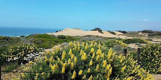 Nature Walk, Mother’s Day Weekend,  at Fort Funston primary image