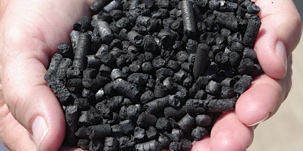 Biochar and Activated Carbon Conference