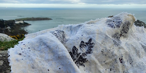 Primaire afbeelding van A Foraging Stroll Up Killiney Hill & Eco-Printing With Irish Linen
