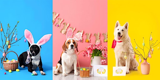 Imagem principal do evento Gone to the Dogs Easter Egg Hunt for Dogs