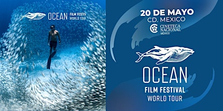 Imagen principal de OCEAN  FILM FESTIVAL WT CDMX 2023