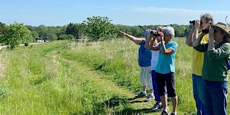 County Grounds Park / Sanctuary Woods - Birding Tour 4/27/2024 @7am