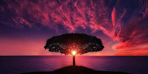FORCE OF NATURE