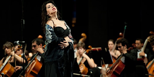 Imagem principal do evento Moments in Music – A Brief History of Opera