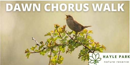 Image principale de Dawn Chorus 2024