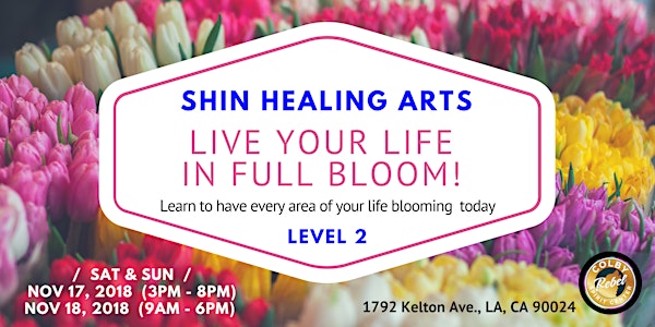 Shin Healing Arts - Level 2 - Manifest & Beyond