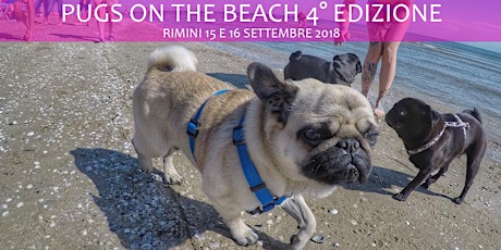 Immagine principale di Pugs on the beach - 4° edizione 