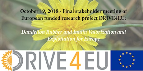 DRIVE4EU Final stakeholder workshop
