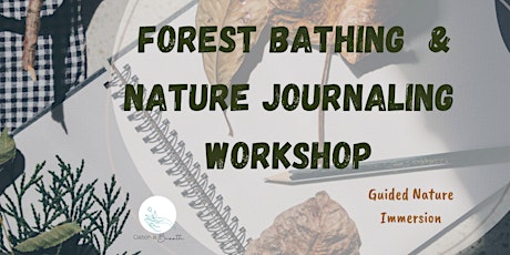 Guided Forest Bathing x Nature Journaling Workshop,  Sai Kung
