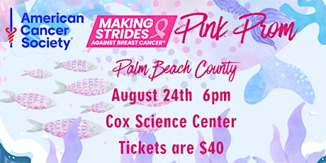 MSABC Palm Beach County Pink Prom