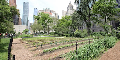 Imagem principal de Tours of The Battery Urban Farm (Multiple Dates)