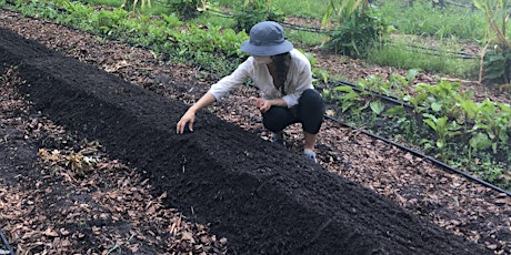 Urban Farming 101 Workshop: Soil and Seed Starting