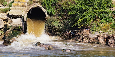 Stormwater and Wetland Permitting Seminar primary image