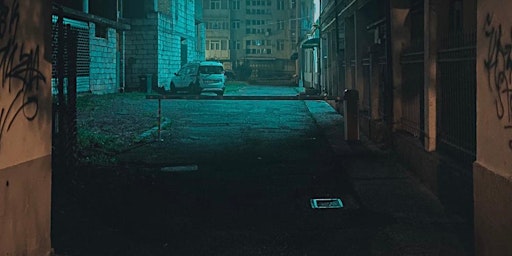 Night Walk: Urban Wild primary image