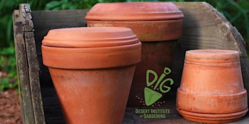 DIG IN-PERSON: When in Drought - Alternative Watering Techniques