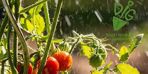 DIG ONLINE: The ABCs of Monsoon Gardening in Central Arizona primary image
