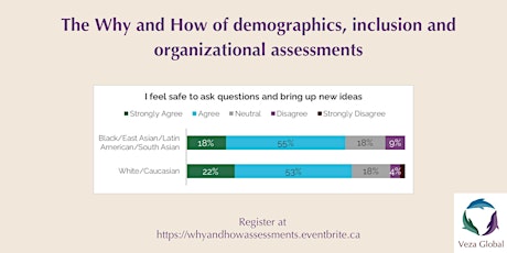 The why and how of demographics, inclusion and organizational assessments primary image