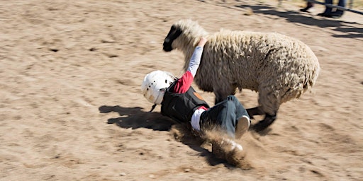 Imagem principal de Saturday Park County Fair Mutton Bustin'