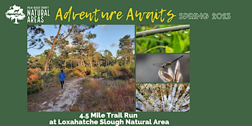 Adventure Awaits - 3.5 or 5.5 Mile Trail Run at Loxahatchee Slough primary image