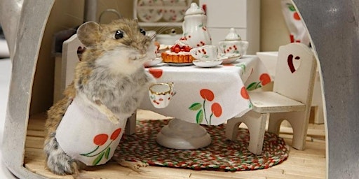 Beginner mouse taxidermy class primary image