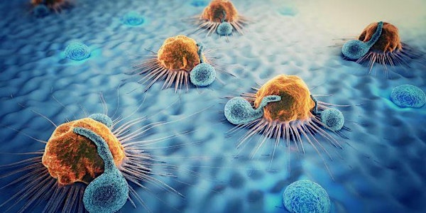 Autoimmune Reset with Medicinal Mushrooms with Hifas Da Terra