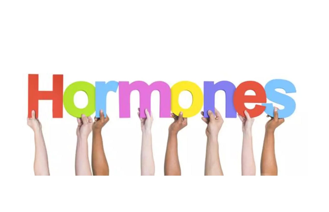 Hormonal Imbalances: A Holistic Medicine Approach
