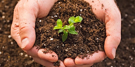 Dungog Shire Council Composting & Worm Farming workshop