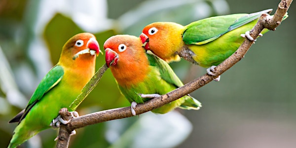 The 2018 Bird Song and Animal Communication Annual Meeting (at the Field Ce...