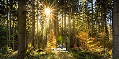 Immagine principale di Waldbaden München & Oberbayern - deine Auszeit im Wald 