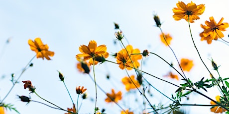 Hauptbild für Responding to Climate Change Workshop