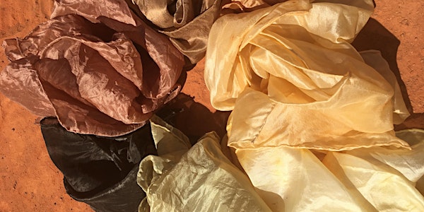 Kimberley Bush Dye and Medicines