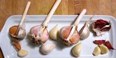 Workshop: Bulbs and Garlic Planting, September 25th primary image