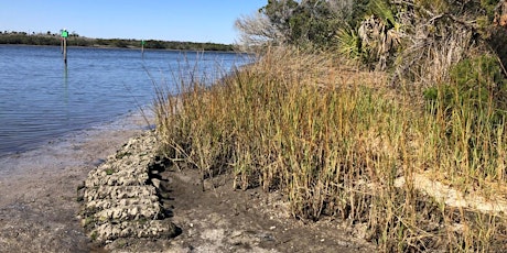 Living Shoreline Course for Marine Contractors: Suncoast Tampa Bay primary image