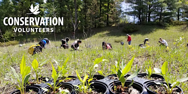 Plantapalooza on Pelee Island