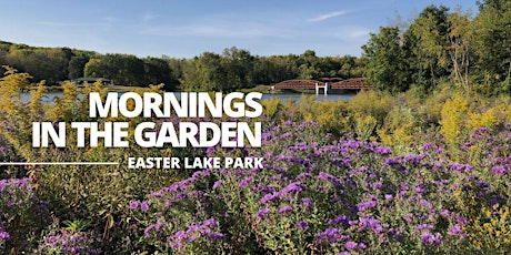 Mornings in the Garden: Easter Lake