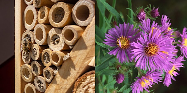 Make a Pollinator Hotel!