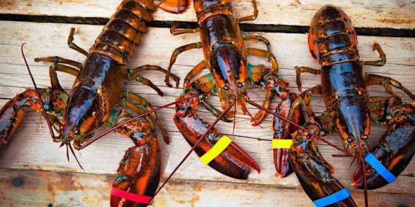 Amalfi Coast Lobster Feast