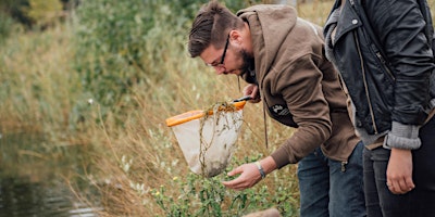 Practical Conservation in Crane Park Island (SW Lo