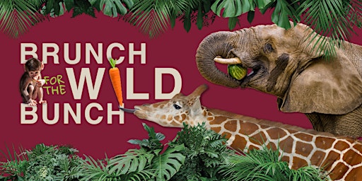 Imagem principal de Brunch for the Wild Bunch: Elephant - May 18, 2024