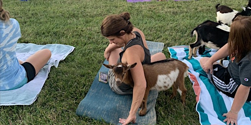 Goat yoga @ The Pink Elephant Antique Mall primary image