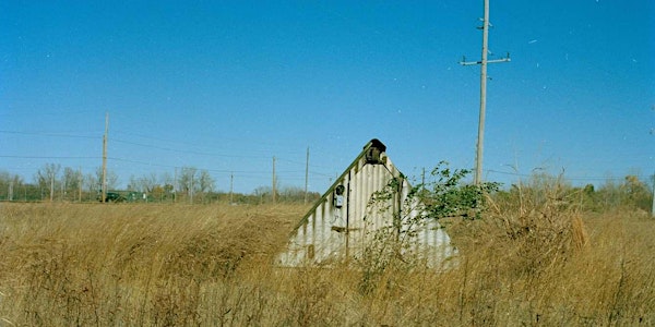 the dollhouse
