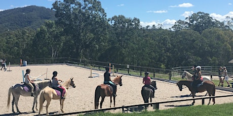 Beginner Horse Camp (8-15yrs) primary image