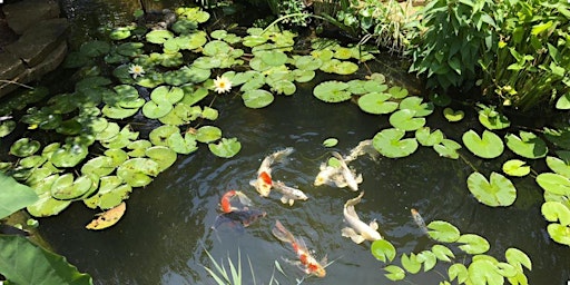 Hauptbild für Water Gardening Saturday 2024